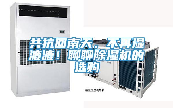 共抗回南天，不再濕漉漉！聊聊小黄片软件免费下载的選購