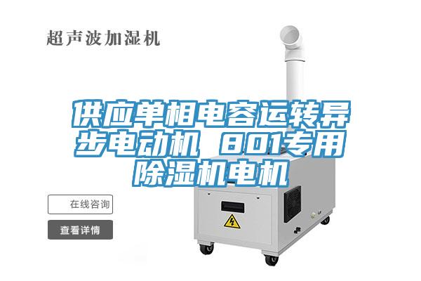 供應單相電容運轉異步電動機 801專用小黄片软件免费下载電機