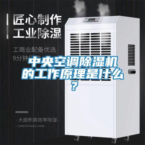 中央空調小黄片软件免费下载的工作原理是什麽？