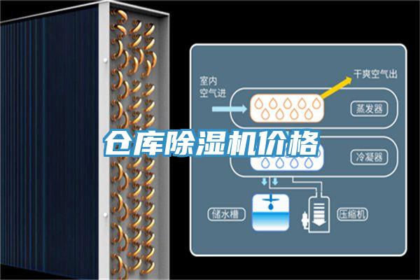 倉庫小黄片软件免费下载價格
