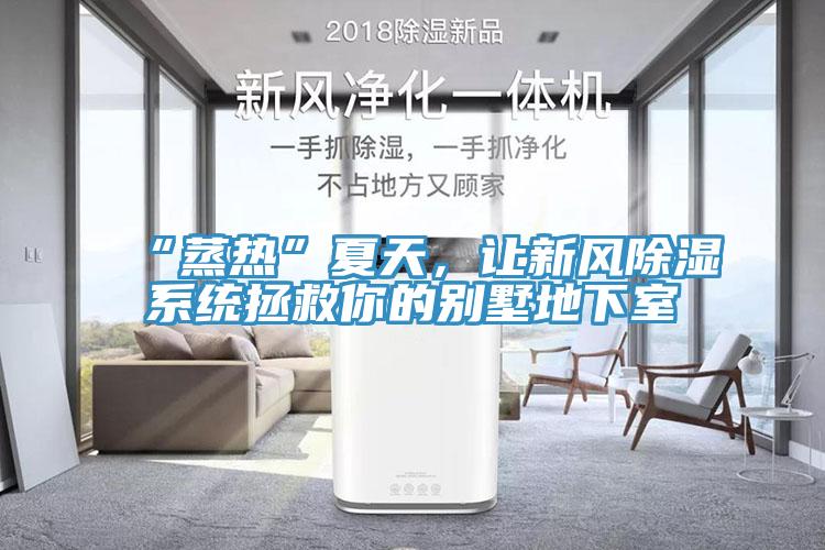 “蒸熱”夏天，讓新風除濕係統拯救你的別墅地下室