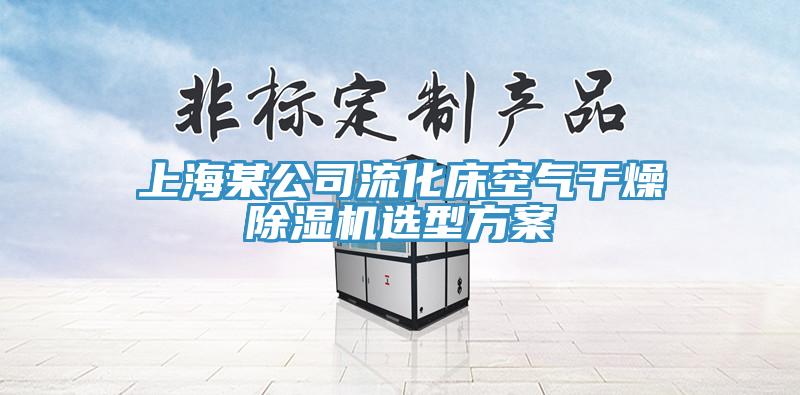 上海某公司流化床空氣幹燥小黄片软件免费下载選型方案