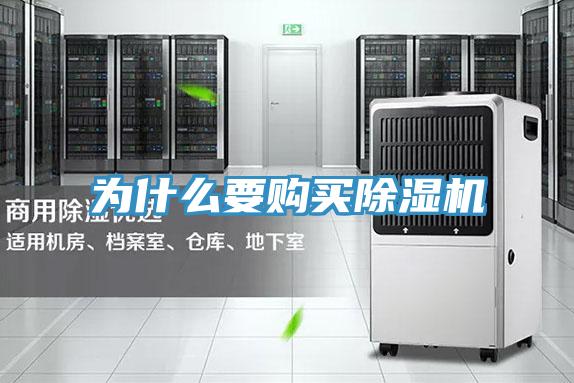為什麽要購買小黄片软件免费下载