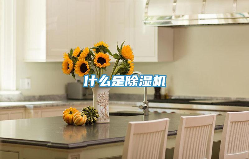 什麽是小黄片软件免费下载