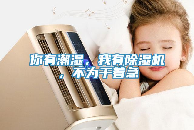 你有潮濕，我有小黄片软件免费下载，不為幹著急