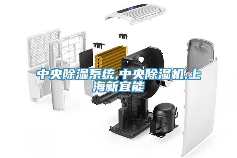 中央除濕係統,中央小黄片软件免费下载,上海新宜能
