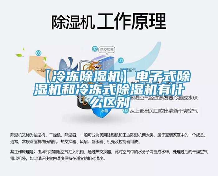 【冷凍小黄片软件免费下载】電子式小黄片软件免费下载和冷凍式小黄片软件免费下载有什麽區別
