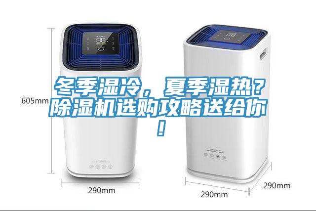 冬季濕冷，夏季濕熱？小黄片软件免费下载選購攻略送給你！