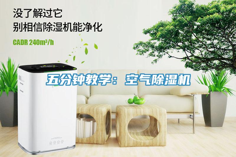 五分鍾教學：空氣小黄片软件免费下载