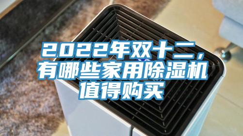 2022年雙十二，有哪些家用小黄片软件免费下载值得購買