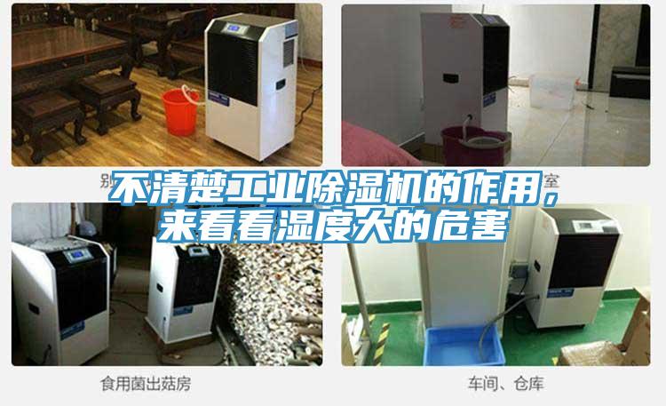 不清楚工業小黄片软件免费下载的作用，來看看濕度大的危害