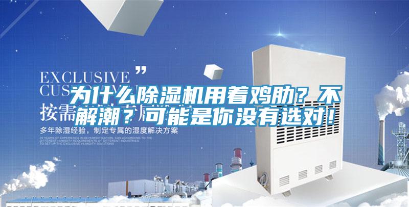 為什麽小黄片软件免费下载用著雞肋？不解潮？可能是你沒有選對！