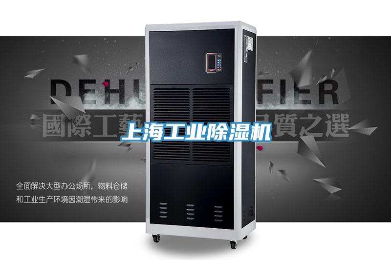 上海工業小黄片软件免费下载