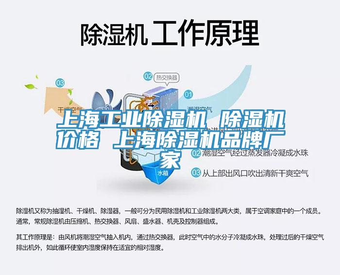 上海工業小黄片软件免费下载 小黄片软件免费下载價格 上海小黄片软件免费下载品牌廠家