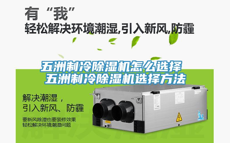 五洲製冷小黄片软件免费下载怎麽選擇 五洲製冷小黄片软件免费下载選擇方法