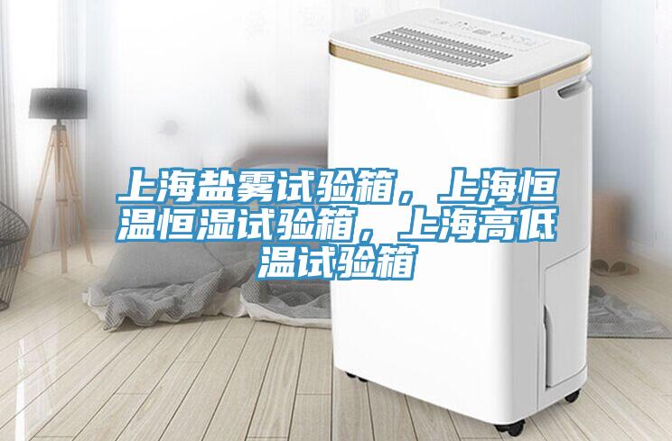 上海鹽霧試驗箱，上海恒溫恒濕試驗箱，上海高低溫試驗箱