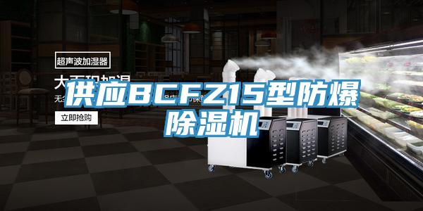 供應BCFZ15型防爆小黄片软件免费下载