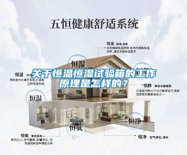 關於恒溫恒濕試驗箱的工作原理是怎樣的？