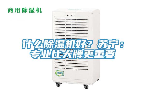 什麽小黄片软件免费下载好？蘇寧：專業比大牌更重要