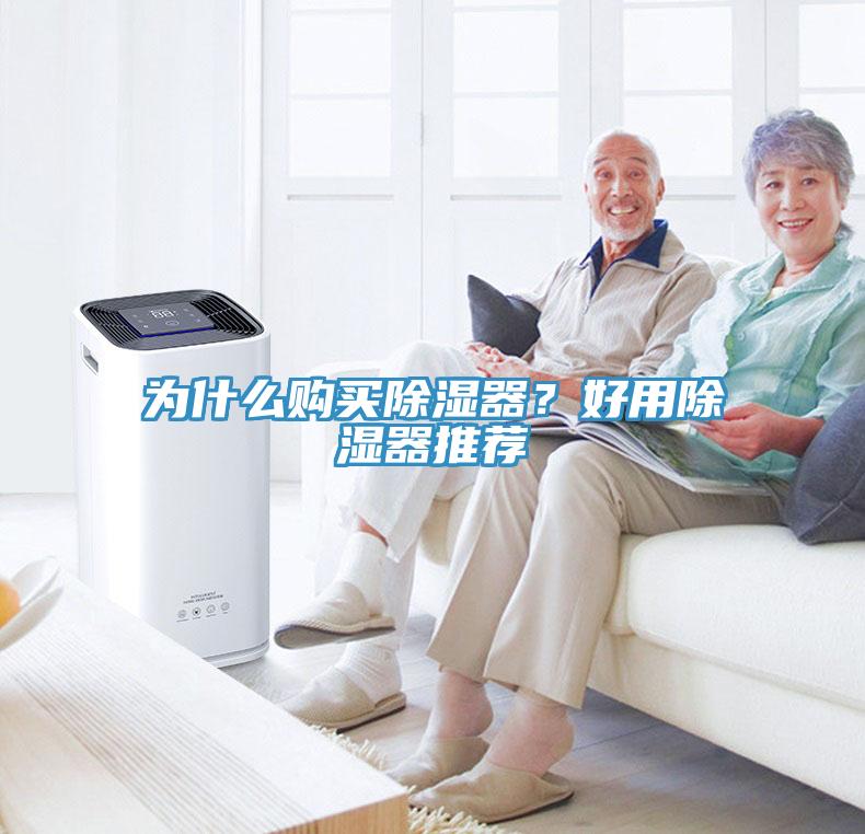 為什麽購買除濕器？好用除濕器推薦