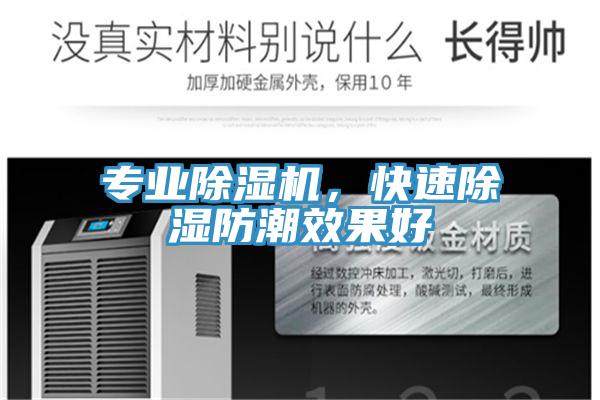 專業小黄片软件免费下载，快速除濕防潮效果好