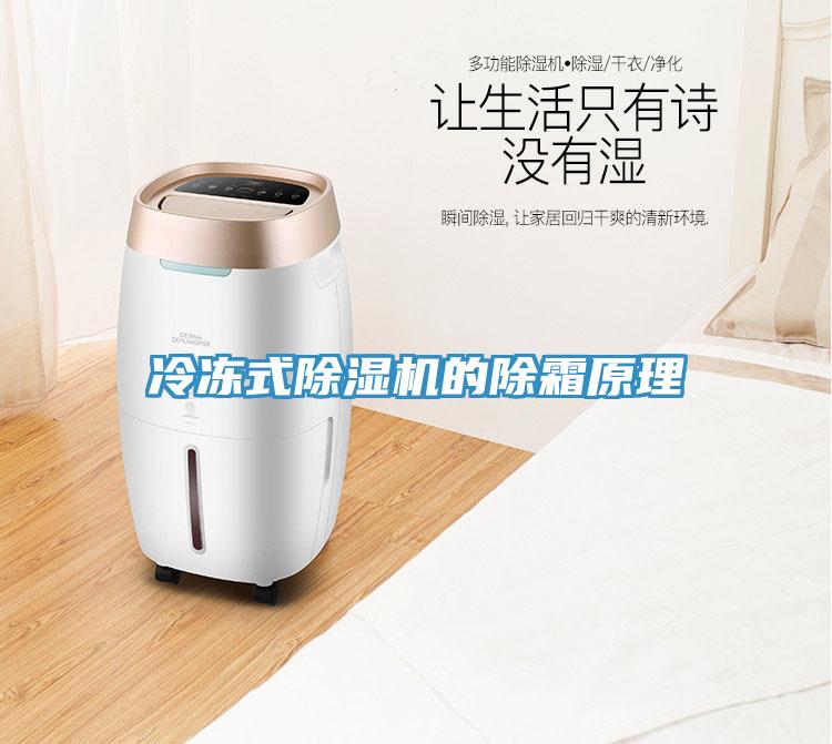 冷凍式小黄片软件免费下载的除霜原理