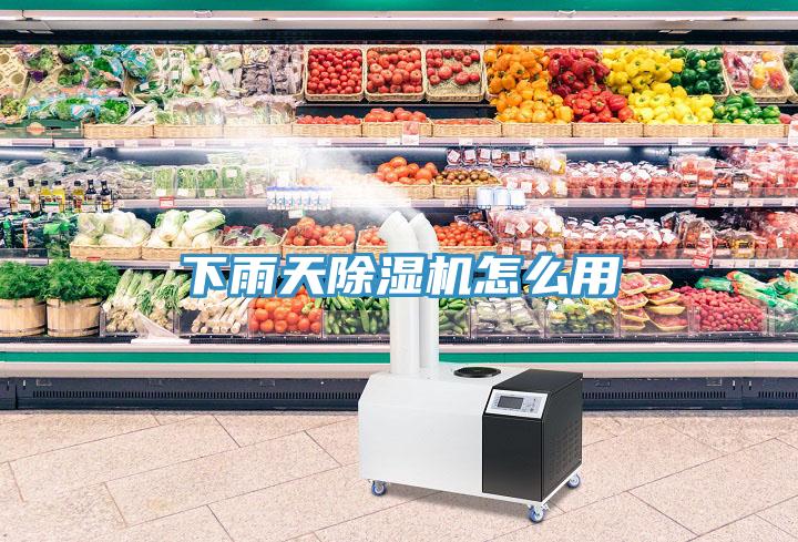 下雨天小黄片软件免费下载怎麽用
