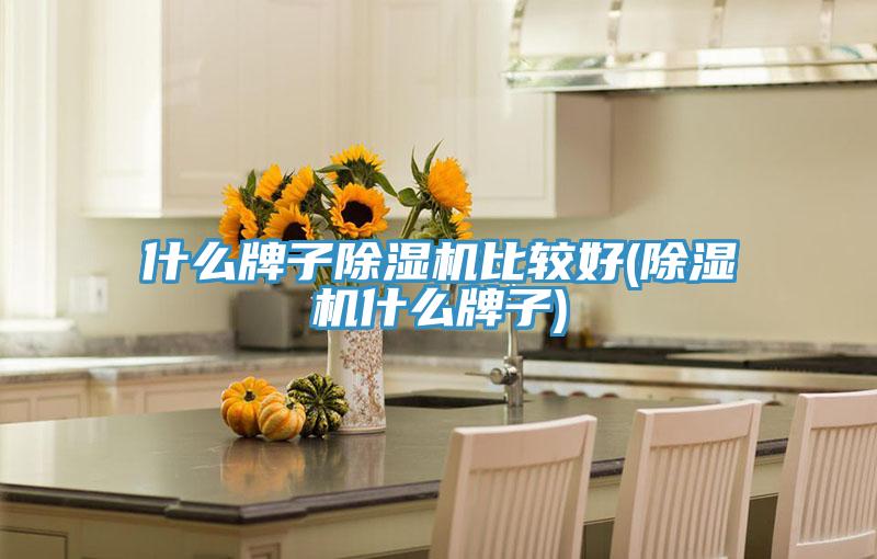 什麽牌子小黄片软件免费下载比較好(小黄片软件免费下载什麽牌子)