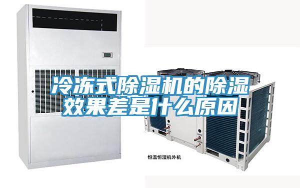 冷凍式小黄片软件免费下载的除濕效果差是什麽原因