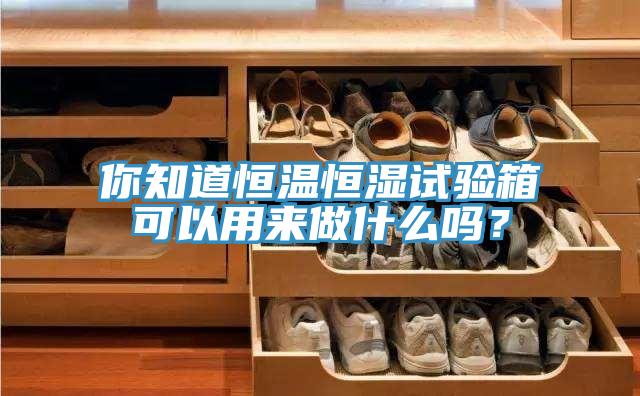 你知道恒溫恒濕試驗箱可以用來做什麽嗎？