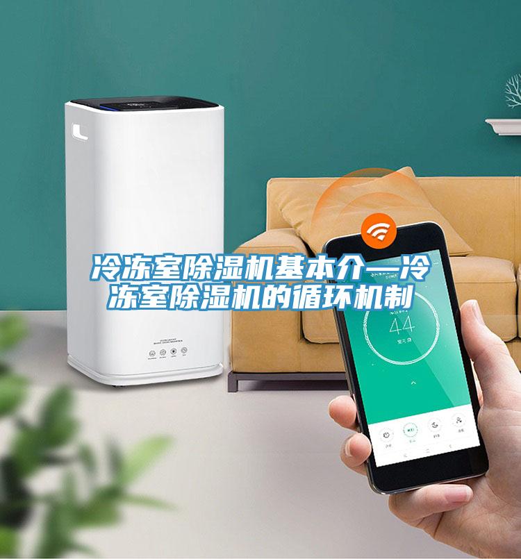 冷凍室小黄片软件免费下载基本介—冷凍室小黄片软件免费下载的循環機製