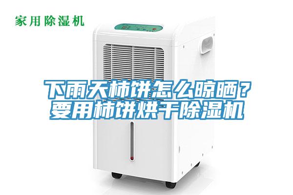 下雨天柿餅怎麽晾曬？要用柿餅烘幹小黄片软件免费下载