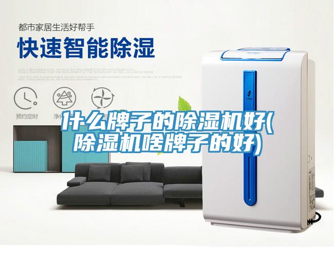 什麽牌子的小黄片软件免费下载好(小黄片软件免费下载啥牌子的好)