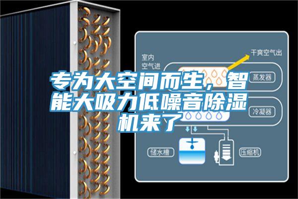 專為大空間而生，智能大吸力低噪音小黄片软件免费下载來了