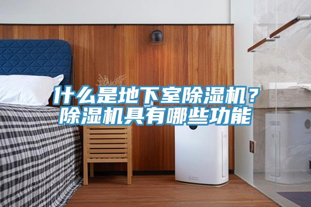 什麽是地下室小黄片软件免费下载？小黄片软件免费下载具有哪些功能