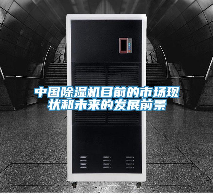 中國小黄片软件免费下载目前的市場現狀和未來的發展前景