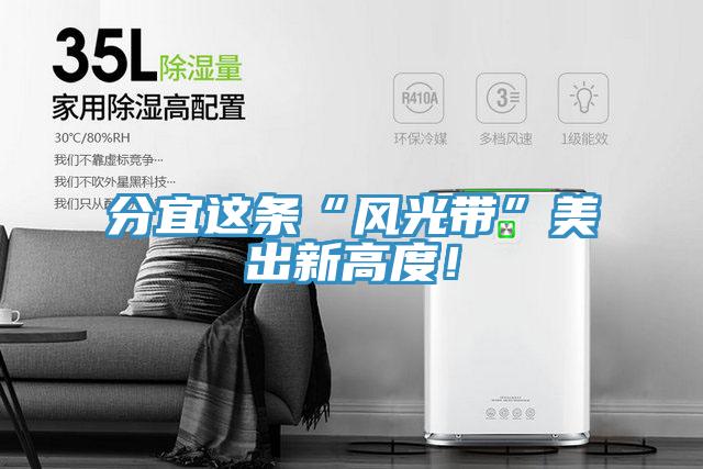 分宜這條“風光帶”美出新高度！