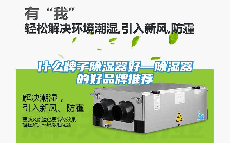 什麽牌子除濕器好—除濕器的好品牌推薦