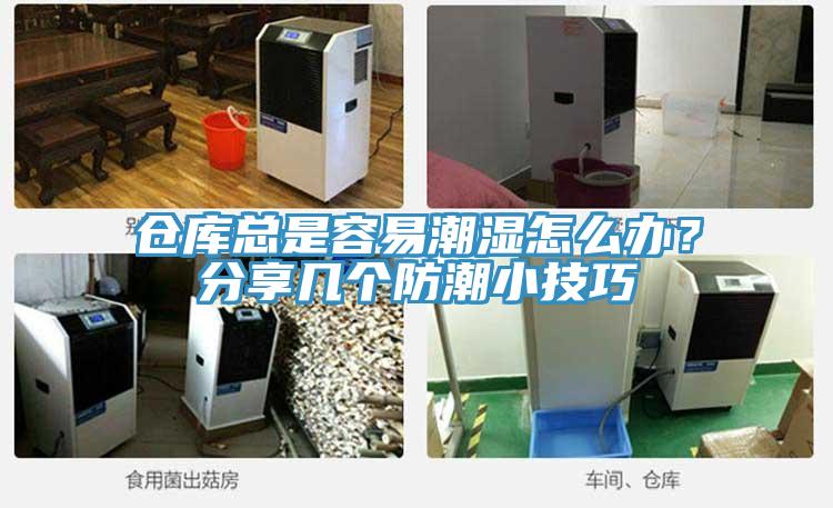 倉庫總是容易潮濕怎麽辦？分享幾個防潮小技巧