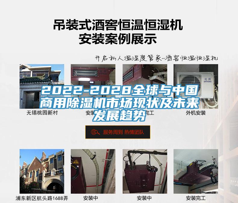 2022-2028全球與中國商用小黄片软件免费下载市場現狀及未來發展趨勢
