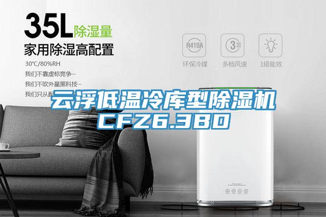 雲浮低溫冷庫型小黄片软件免费下载CFZ6.3BD