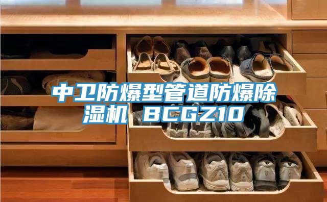 中衛防爆型管道防爆小黄片软件免费下载 BCGZ10