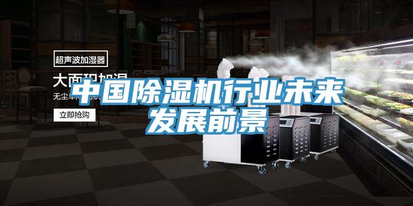 中國小黄片软件免费下载行業未來發展前景