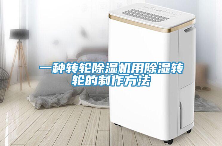 一種轉輪小黄片软件免费下载用除濕轉輪的製作方法