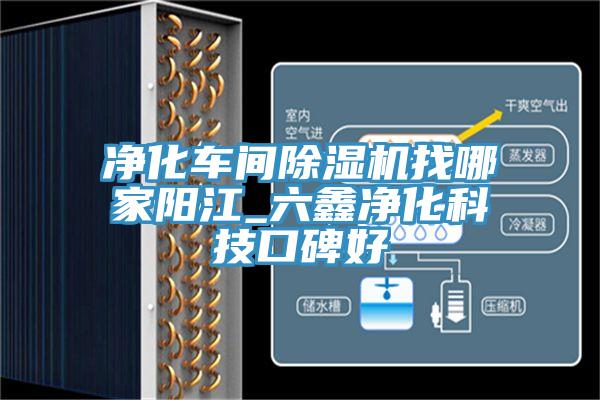 淨化車間小黄片软件免费下载找哪家陽江_六鑫淨化科技口碑好