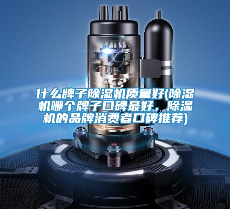 什麽牌子小黄片软件免费下载質量好(小黄片软件免费下载哪個牌子口碑最好，小黄片软件免费下载的品牌消費者口碑推薦)