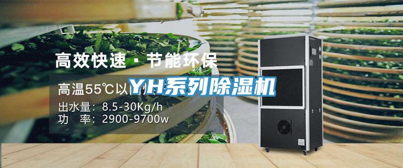 YH係列小黄片软件免费下载