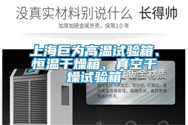 上海巨為高溫試驗箱、恒溫幹燥箱、真空幹燥試驗箱