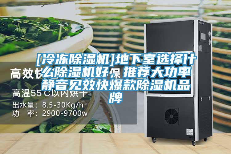 [冷凍小黄片软件免费下载]地下室選擇什麽小黄片软件免费下载好，推薦大功率靜音見效快爆款小黄片软件免费下载品牌