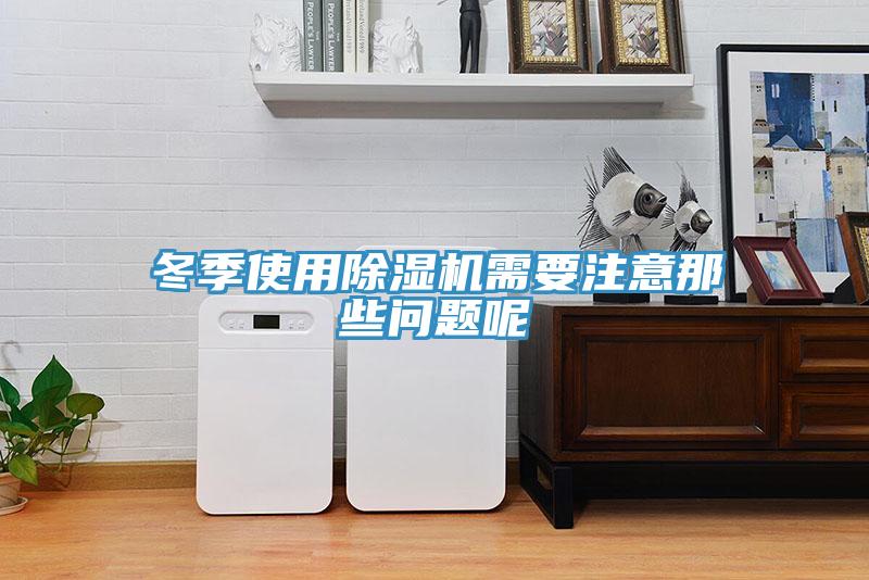 冬季使用小黄片软件免费下载需要注意那些問題呢